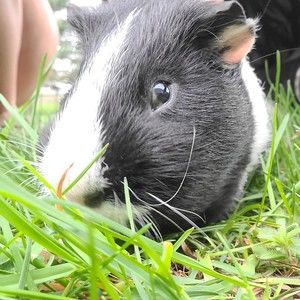 Meet your Posher, Meg